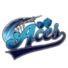 奈克王牌logo
